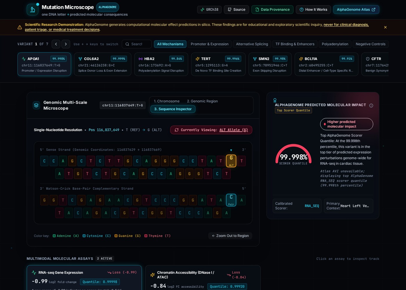 Mutation Microscope’s real sequence inspector and molecular-impact panel, displaying the bundled APOA1 example.